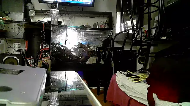 Snapshot of 0815lukas2024 chatting on November 3, 2025, 5:05 pm 0815lukas2024 online show from November 3, 2025, 5:05 pm