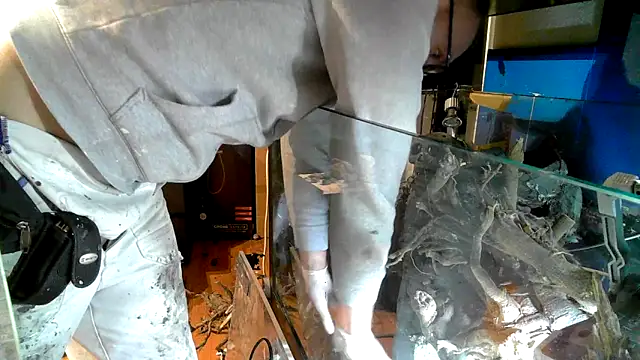 Snapshot of 0815lukas2024 chatting on October 19, 2025, 10:56 pm 0815lukas2024 online show from October 19, 2025, 10:56 pm