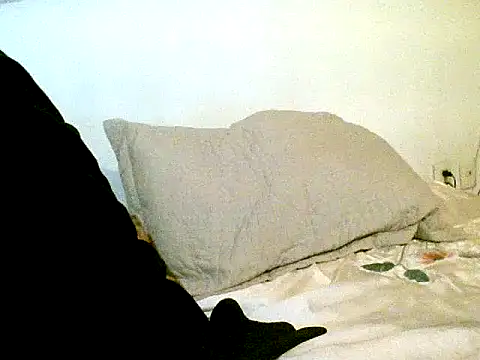 pollarikaaa online show from October 14, 2025, 1:23 pm