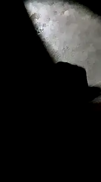 Tamil boy age28 online show from March 1, 2025, 3:16 pm