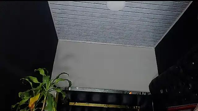 Snapshot of Kitie_Petarda chatting on October 19, 2025, 10:01 pm Kitie Petarda online show from October 19, 2025, 10:01 pm