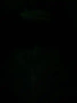 Txkng98 online show from March 14, 2025, 12:43 am