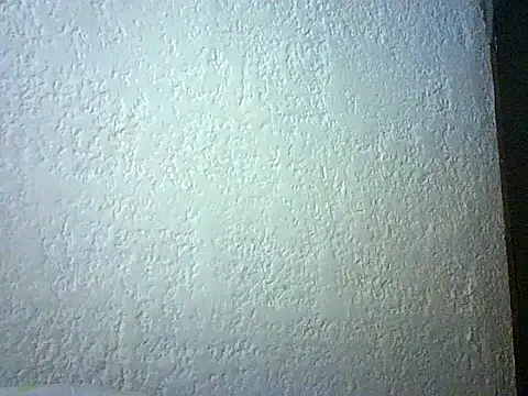 Bellabeltrann online show from April 15, 2026, 11:49 am