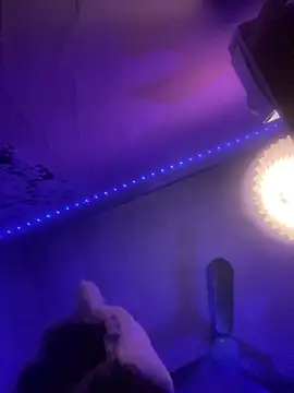 HoneyBuns 05 online show from February 22, 2025, 5:24 pm