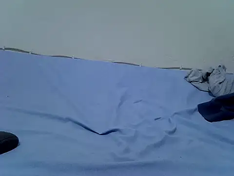 pointy bloom online show from November 10, 2025, 4:23 pm