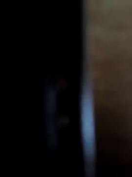 SpiceLea online show from November 29, 2025, 12:05 pm