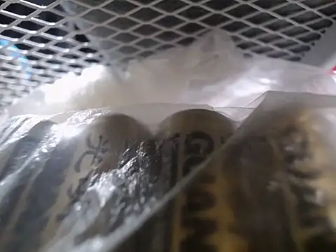 Snapshot of Lovensetest chatting on September 30, 2025, 7:36 am Lovensetest online show from September 30, 2025, 7:36 am