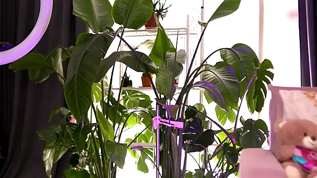 Snapshot of EmilyRaymont chatting on September 21, 2025, 5:23 am EmilyRaymont online show from September 21, 2025, 5:23 am