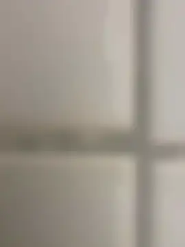 orient zob online show from November 14, 2025, 2:32 pm