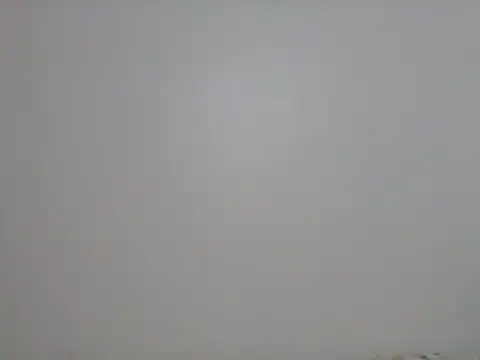 Snapshot of DADDYS_shuga chatting on October 9, 2025, 3:51 am DADDYS shuga online show from October 9, 2025, 3:51 am