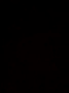 McdyllanXX online show from October 7, 2025, 10:00 pm