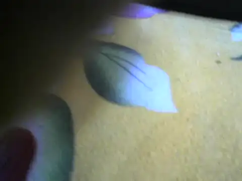 sexynasha online show from January 21, 2025, 6:54 am