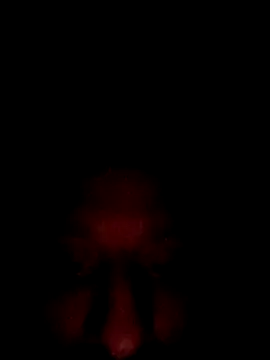 jdrizzle8699 online show from October 3, 2025, 8:05 am