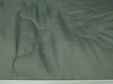 Snapshot of VenDee chatting on November 7, 2025, 7:40 pm VenDee online show from November 7, 2025, 7:40 pm