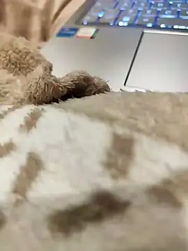 Bemgalado online show from January 3, 2025, 8:22 pm