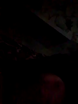 Jefrey1113 online show from March 25, 2026, 11:25 pm