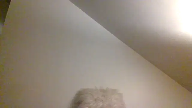 AllLeggs online show from December 9, 2024, 7:39 am