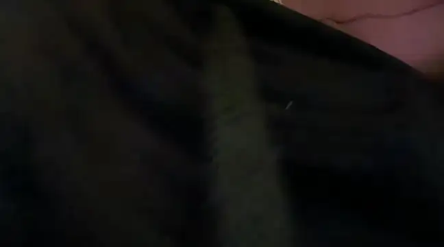 RoyalPharaoh online show from February 27, 2025, 3:48 pm