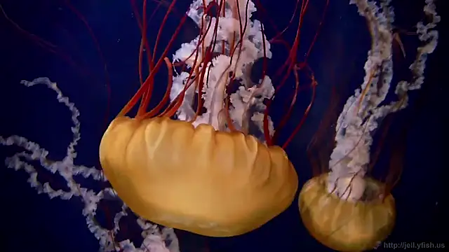 Snapshot of streamy_test11 chatting on February 2, 2026, 8:24 am streamy test11 online show from February 2, 2026, 8:24 am