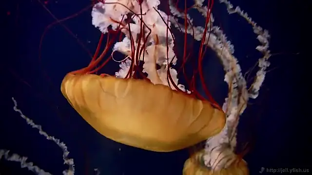 Snapshot of streamy_test11 chatting on February 12, 2026, 7:19 am streamy test11 online show from February 12, 2026, 7:19 am