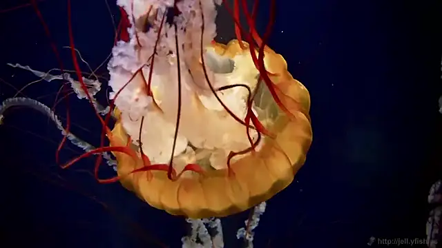 Snapshot of streamy_test11 chatting on February 27, 2026, 11:54 am streamy test11 online show from February 27, 2026, 11:54 am