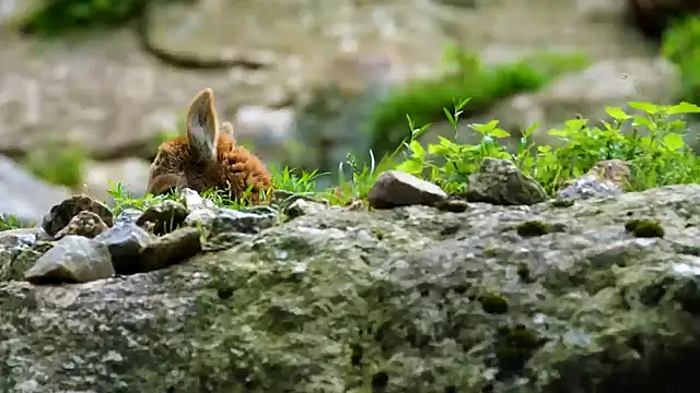 streamy test12 online show from September 23, 2025, 11:28 am