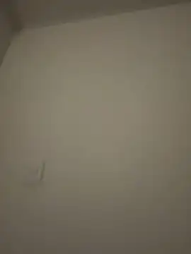 Snapshot of Amber_Rush_ chatting on February 3, 2026, 3:48 am Amber Rush online show from February 3, 2026, 3:48 am