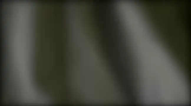 Snapshot of YoungHairyBi chatting on February 28, 2025, 8:42 am YoungHairyBi online show from February 28, 2025, 8:42 am