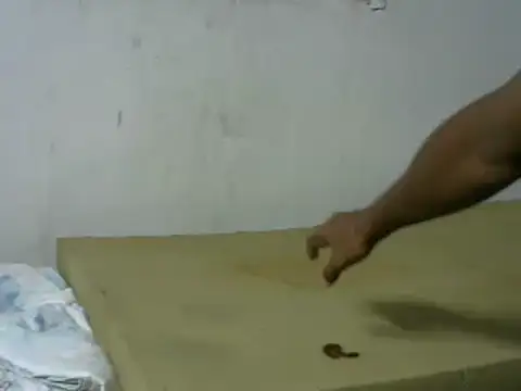 michel sc online show from October 8, 2025, 5:42 am