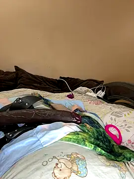 vika2323 online show from November 8, 2025, 5:38 pm