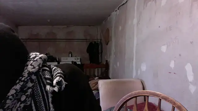 LoretoMx online show from November 20, 2025, 8:53 pm