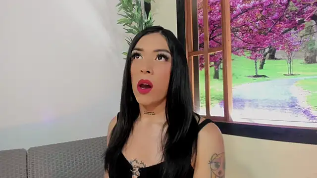 Susan DiSantys online show from February 11, 2025, 1:31 am