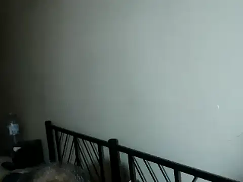 100Tauros online show from November 2, 2025, 3:28 pm