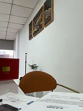 Snapshot of Efangfang chatting on October 28, 2025, 8:35 am Efangfang online show from October 28, 2025, 8:35 am