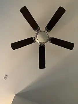 Snapshot of goldbuni chatting on December 19, 2024, 11:03 pm goldbuni online show from December 19, 2024, 11:03 pm