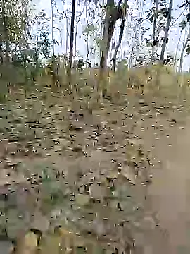 88karan88 online show from December 20, 2024, 9:54 am