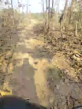 88karan88 online show from December 25, 2024, 9:24 am