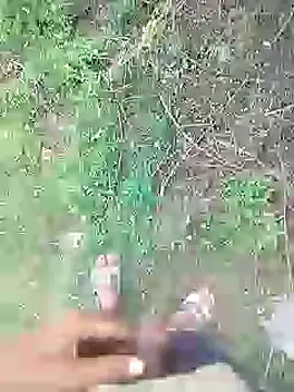 88karan88 online show from January 20, 2025, 9:03 am