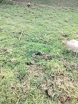 88karan88 online show from March 3, 2025, 11:22 am