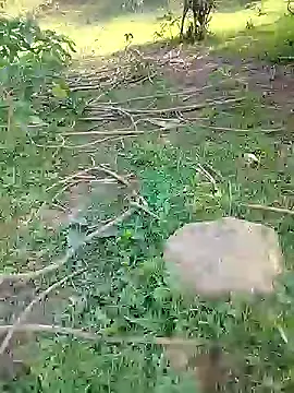 88karan88 online show from February 24, 2025, 3:55 am