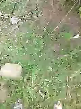 88karan88 online show from March 1, 2025, 4:15 am