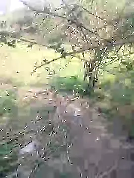 88karan88 online show from March 4, 2025, 4:38 am