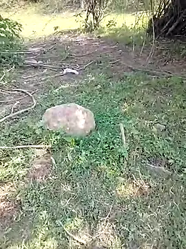 88karan88 online show from March 5, 2025, 4:34 am