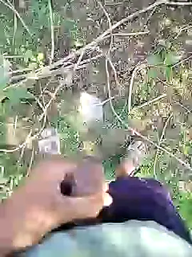 88karan88 online show from January 22, 2025, 5:26 am