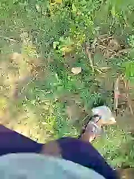 88karan88 online show from January 23, 2025, 3:37 am