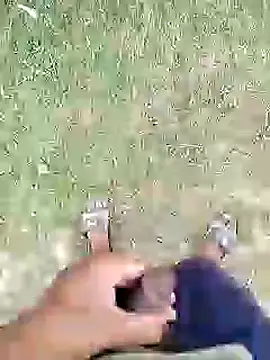 88karan88 online show from February 27, 2025, 11:17 am