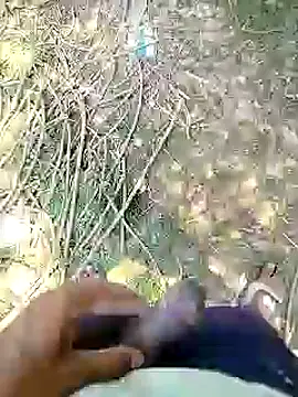 88karan88 online show from March 1, 2025, 7:19 am