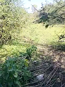 88karan88 online show from March 7, 2025, 4:24 am