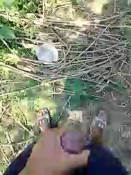 88karan88 online show from February 25, 2025, 6:58 am