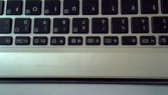 Snapshot of Delicious-D chatting on September 20, 2025, 8:52 am Delicious-D online show from September 20, 2025, 8:52 am